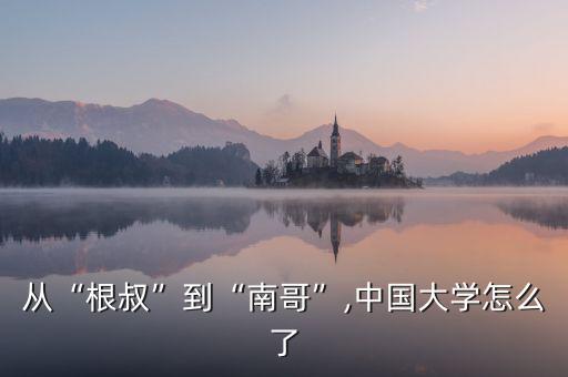 從“根叔”到“南哥”,中國大學(xué)怎么了