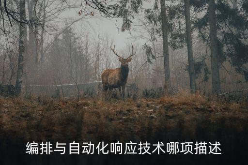 關(guān)于公司自動(dòng)化技術(shù)的描述,自動(dòng)化技術(shù)公司排名