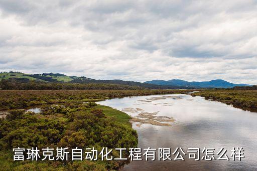 富琳克斯自動化工程有限公司怎么樣