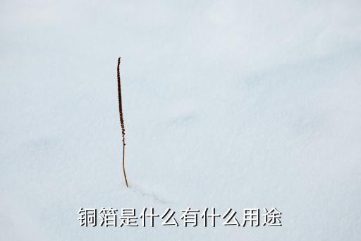 銅箔理料自動(dòng)化設(shè)備,銅箔有哪些用途?