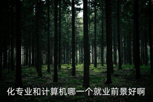 化專業(yè)和計(jì)算機(jī)哪一個(gè)就業(yè)前景好啊