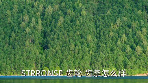 STRRONSE 齒輪 齒條怎么樣