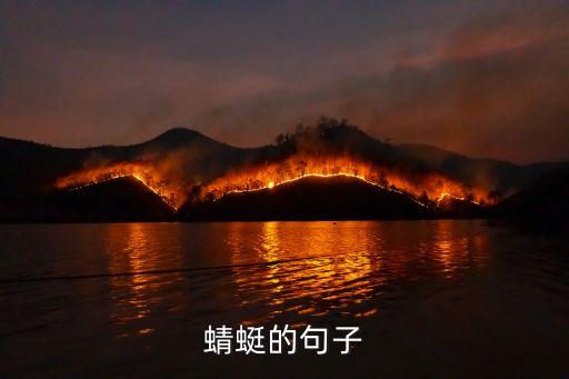 蜻蜓機(jī)器人費(fèi)斯通,蜻蜓機(jī)器人是什么動(dòng)漫?