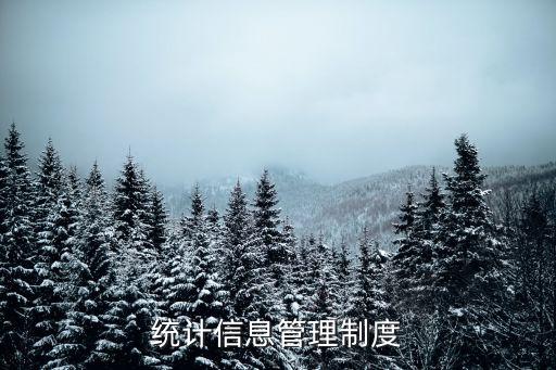 統(tǒng)計信息管理制度