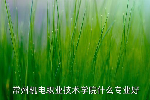  常州機電職業(yè)技術學院什么專業(yè)好