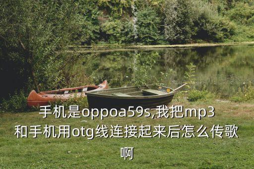 mp3otg數(shù)據(jù)線怎么用,舊mp3數(shù)據(jù)線