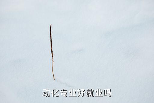 動(dòng)化專業(yè)好就業(yè)嗎