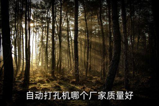 自動(dòng)化設(shè)備鉆孔機(jī),鉆井自動(dòng)化設(shè)備視頻