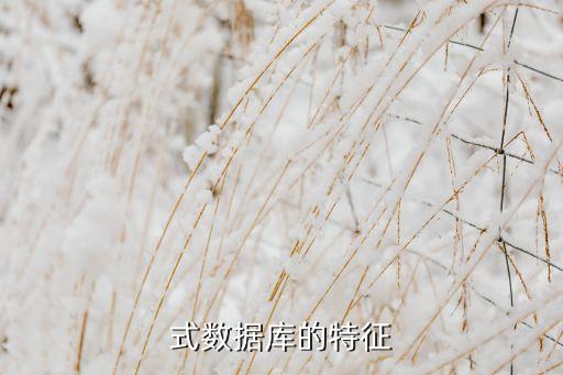 分布式數(shù)據(jù)庫 選型,三個分布式數(shù)據(jù)庫