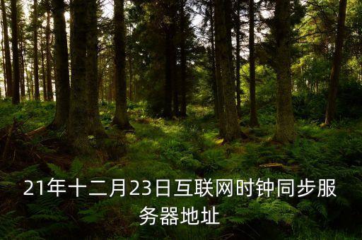 21年十二月23日互聯(lián)網(wǎng)時鐘同步服務(wù)器地址