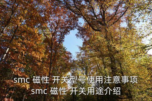 smc 磁性 開關型號使用注意事項smc 磁性 開關用途介紹