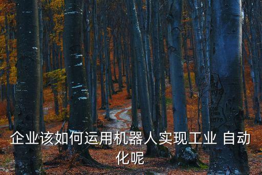 企業(yè)該如何運用機器人實現工業(yè) 自動化呢