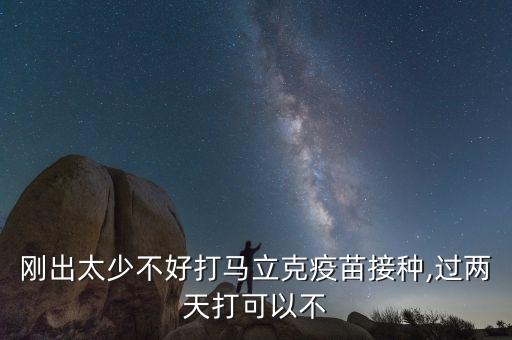 雛雞疫苗接種自動(dòng)化設(shè)備,自動(dòng)種雞接種機(jī)
