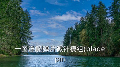 一圖詳解|彈片微針模組(bladepin
