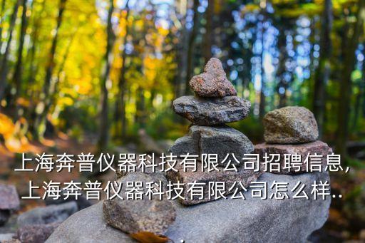 上海奔普儀器科技有限公司招聘信息,上海奔普儀器科技有限公司怎么樣...