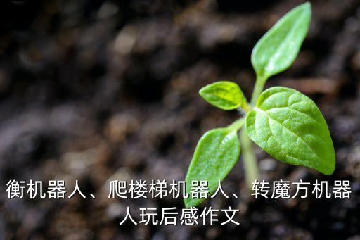 上樓梯搬家具機器人,上下樓梯移動機器人
