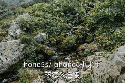 5s步數數據源,蘋果步驟數據源