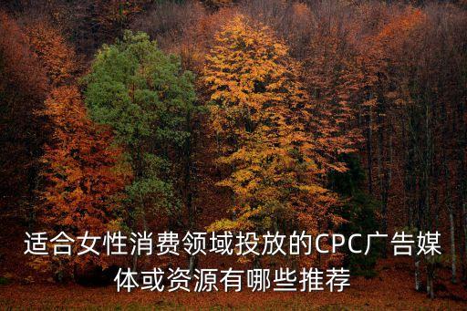 適合女性消費領(lǐng)域投放的CPC廣告媒體或資源有哪些推薦