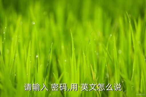 請(qǐng)輸入 密碼,用 英文怎么說(shuō)