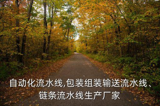 自動(dòng)化流水線,包裝組裝輸送流水線、鏈條流水線生產(chǎn)廠家