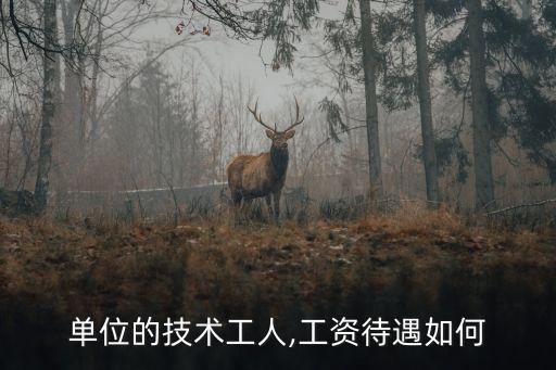 上海索迪龍自動(dòng)化公司技術(shù)工工資,索迪龍的工作怎么樣?