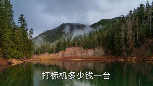 亳州自動化打標(biāo)設(shè)備,自動打標(biāo)機