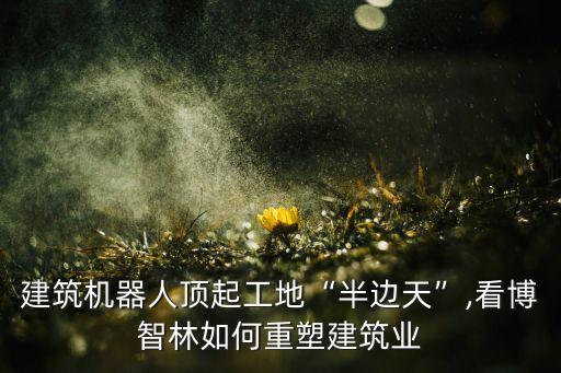 建筑機(jī)器人頂起工地“半邊天”,看博智林如何重塑建筑業(yè)
