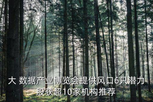 中國大數(shù)據(jù)企業(yè)評級,企業(yè)社會責任評級數(shù)據(jù)