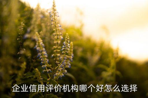 企業(yè)信用評(píng)價(jià)機(jī)構(gòu)哪個(gè)好怎么選擇