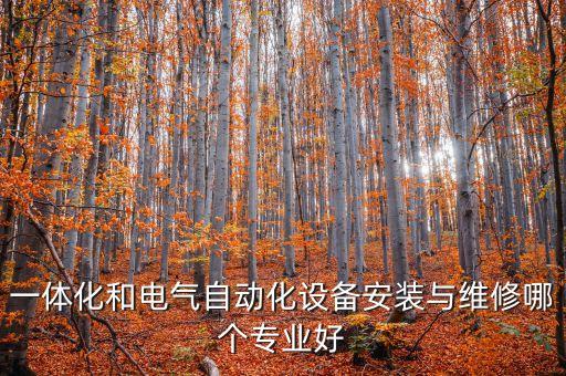 一體化和電氣自動化設(shè)備安裝與維修哪個專業(yè)好