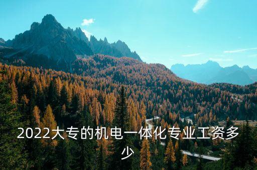 2022大專的機電一體化專業(yè)工資多少