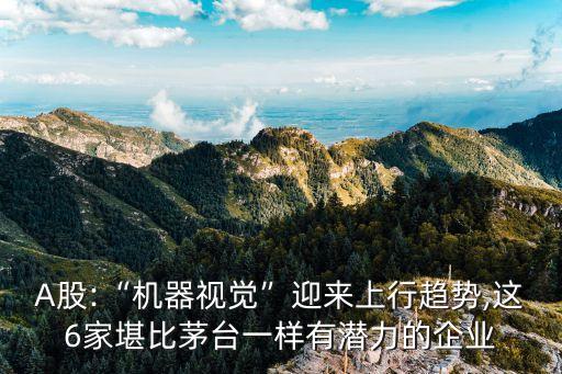 A股:“機器視覺”迎來上行趨勢,這6家堪比茅臺一樣有潛力的企業(yè)