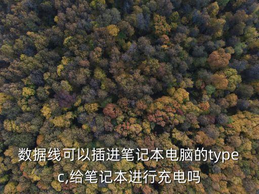 數(shù)據(jù)線可以插進(jìn)筆記本電腦的typec,給筆記本進(jìn)行充電嗎