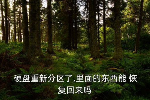  硬盤重新分區(qū)了,里面的東西能 恢復(fù)回來(lái)嗎