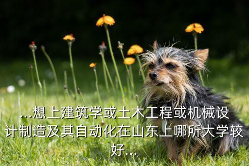高考專(zhuān)業(yè)建筑自動(dòng)化,電氣工程及其自動(dòng)化專(zhuān)業(yè)是什么?