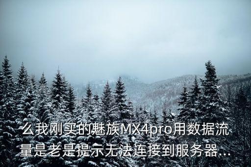 么我剛買的魅族MX4pro用數(shù)據(jù)流量是老是提示無法連接到服務(wù)器...