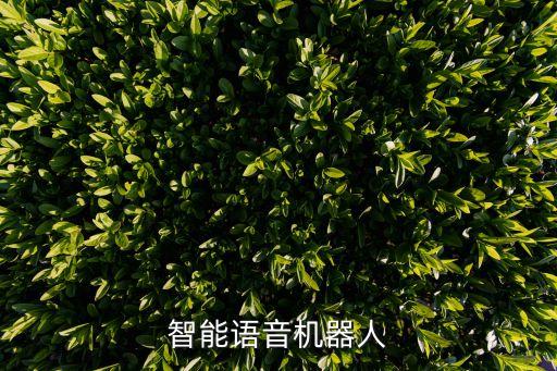 手機(jī)智能語音機(jī)器人,百度智能語音機(jī)器人
