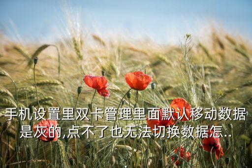 手機(jī)設(shè)置里雙卡管理里面默認(rèn)移動(dòng)數(shù)據(jù)是灰的,點(diǎn)不了也無法切換數(shù)據(jù)怎...