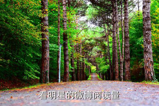 看明星的微博閱讀量