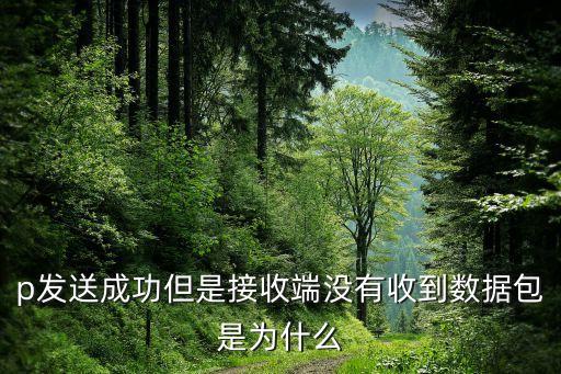 數(shù)據(jù)包沒有價格,網(wǎng)絡(luò)中沒有數(shù)據(jù)包