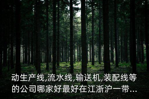動(dòng)生產(chǎn)線,流水線,輸送機(jī),裝配線等的公司哪家好最好在江浙滬一帶...