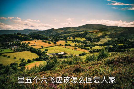六飛,六六飛,是什么意思?