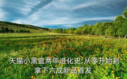  天貓小黑盒兩年進(jìn)化史:從零開(kāi)始到拿下六成新品首發(fā)