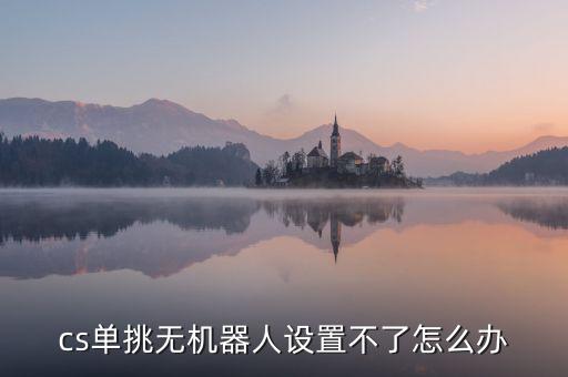 電子機器人 改分辨率,蘇州科沃斯機器人有限公司怎么樣好