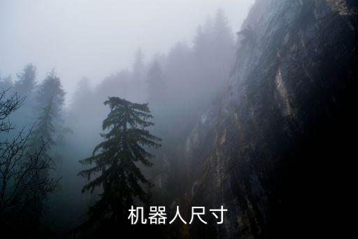 機(jī)器人尺寸