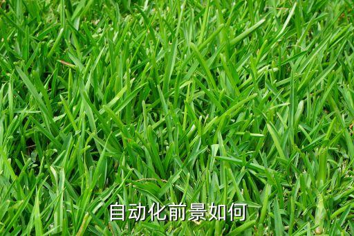 自動化前景如何