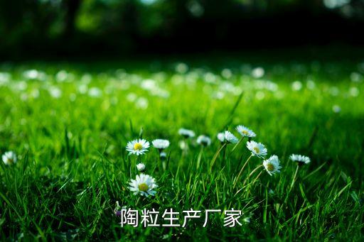 玉環(huán)石墨填料環(huán)自動化設(shè)備生產(chǎn)廠,石墨密封環(huán)制造商