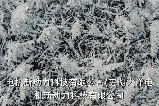電機(jī)新動力科技有限公司(蕪湖大洋電機(jī)新動力科技有限公司