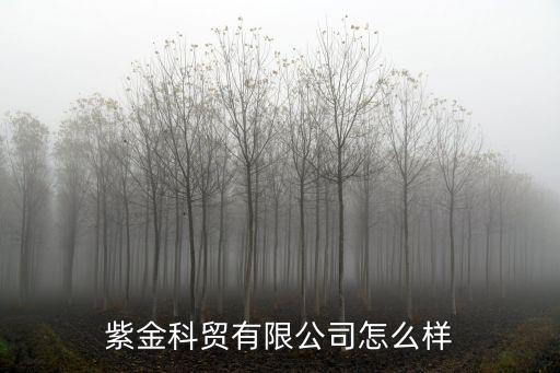紫金科貿有限公司怎么樣