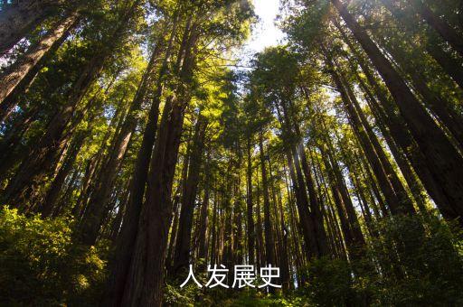 徠斯機(jī)器人 發(fā)展空間,空間機(jī)器人的發(fā)展現(xiàn)狀
